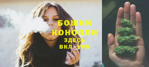 эйфоретик Валдай