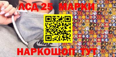 СК Бердск