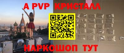 СК Бердск