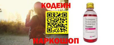 СК Бердск