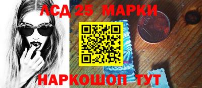 СК Бердск