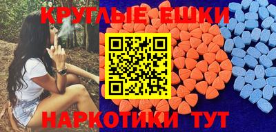СК Бердск