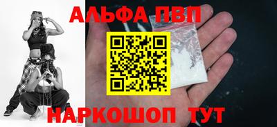СК Бердск