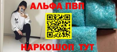 СК Бердск