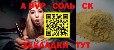 СК Бердск