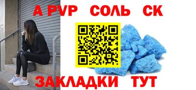 СК Бердск