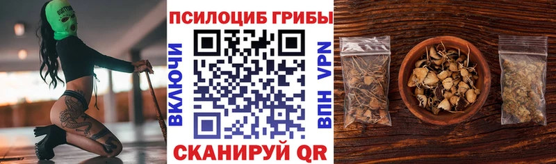 Псилоцибиновые грибы мухоморы  закладка  Волоколамск 