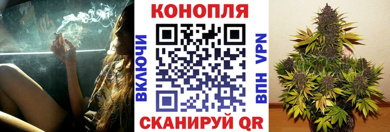 кракен tor  Волоколамск  МАРИХУАНА Amnesia 