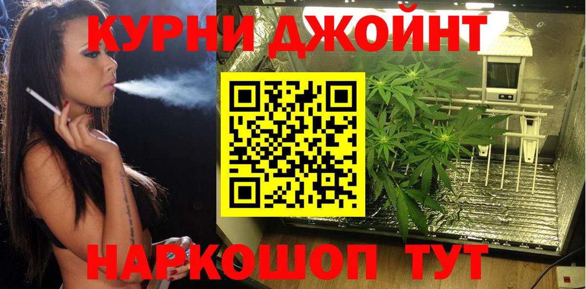 Волоколамск  Конопля ГИДРОПОН  Бошки Шишки конопля  Вход с VPN 